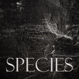 Species by Jason Potter