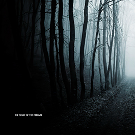 The sense of the eternal  by Jason Potter